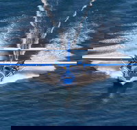 Rathmines Catalina Festival - Accommodation Mount Tamborine