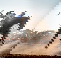 Rodeo by the Sea - Streaky Bay - Accommodation Mount Tamborine