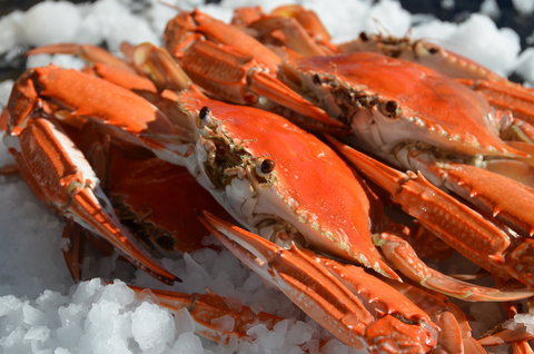 Seafood On Spencer - Accommodation Mount Tamborine 1