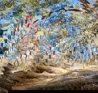 Shimano Mountain Bike Grand Prix  Logan - Accommodation Mount Tamborine