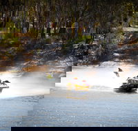 Southern 80 - Accommodation Mount Tamborine