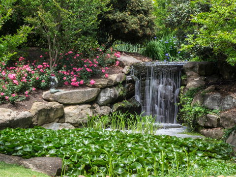 Spring Time At Hunter Valley Gardens - Accommodation Mount Tamborine 1