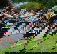 Sweat vs Steam - Accommodation Mount Tamborine