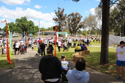 Taste Coleambally- Food And Farm Festival - Accommodation Mount Tamborine 1