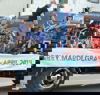 The Grey Mardi Gras - Accommodation Mount Tamborine