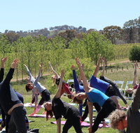 Yoga in the Vines - Accommodation Mount Tamborine
