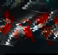 Bonfire Bush Poet and Barbecue under the Stars - Accommodation Mount Tamborine