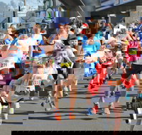 Darrel Chapman Fun Run - Accommodation Mount Tamborine