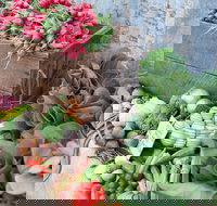 Ma Ma Creek Markets - Accommodation Mount Tamborine