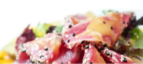 Sushi Yachiyo - Accommodation Mount Tamborine 0