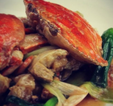 New Shanghai Chinese Restaurant - Accommodation Mount Tamborine 3