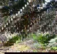 The Bower at Broulee - Accommodation Mount Tamborine