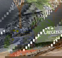 Checkers Resort  Conference Centre - Accommodation Mount Tamborine