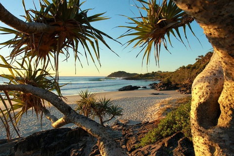 The Beach Cabarita - Accommodation Mount Tamborine 2