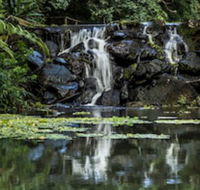 Kondalilla Eco Resort - Accommodation Mount Tamborine