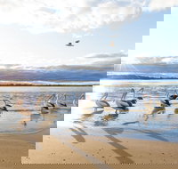 El Paso Motor Inn - Accommodation Mount Tamborine