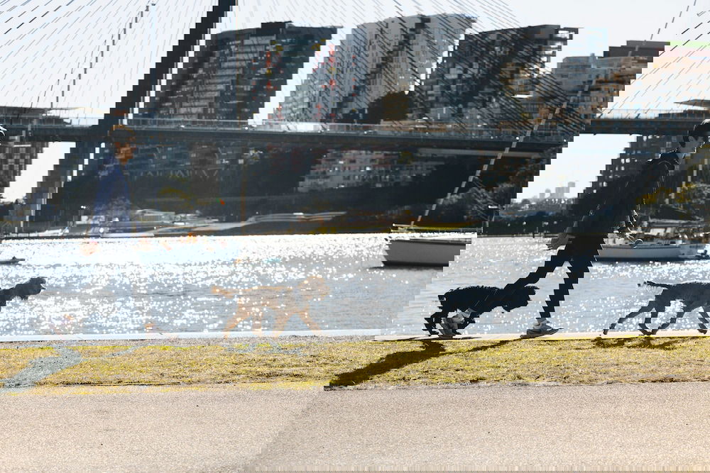 Glebe NSW Accommodation Mount Tamborine