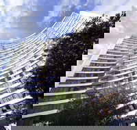 BreakFree Capital Tower - Accommodation Mount Tamborine