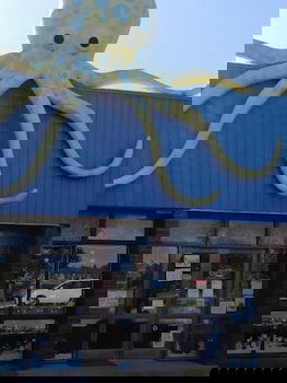 Banjo Paterson Motor Inn - Accommodation Mount Tamborine 3