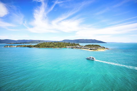 Daydream Island Resort - Accommodation Mount Tamborine 6