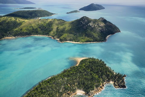 Daydream Island Resort - Accommodation Mount Tamborine 2