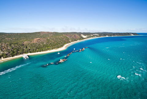 Tangalooma Island Resort - Accommodation Mount Tamborine 1