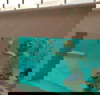 Novotel Brisbane Airport - Accommodation Mount Tamborine