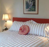 Every Man  His Dog Vineyard - Accommodation Mount Tamborine