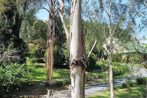 Stokers Lodge - Accommodation Mount Tamborine 1
