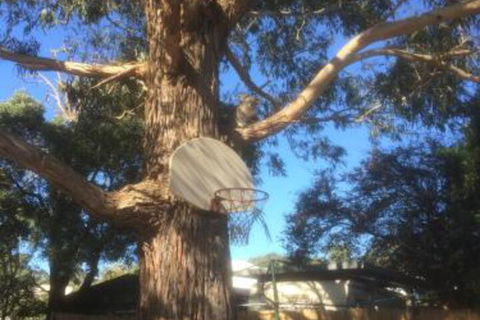 Inverloch Motel - Accommodation Mount Tamborine 5