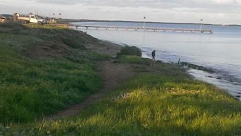 Port Lincoln Caravan Park - Accommodation Mount Tamborine 5