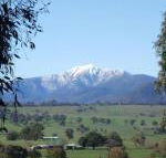 Off Mountain Accommodation - Accommodation Mount Tamborine