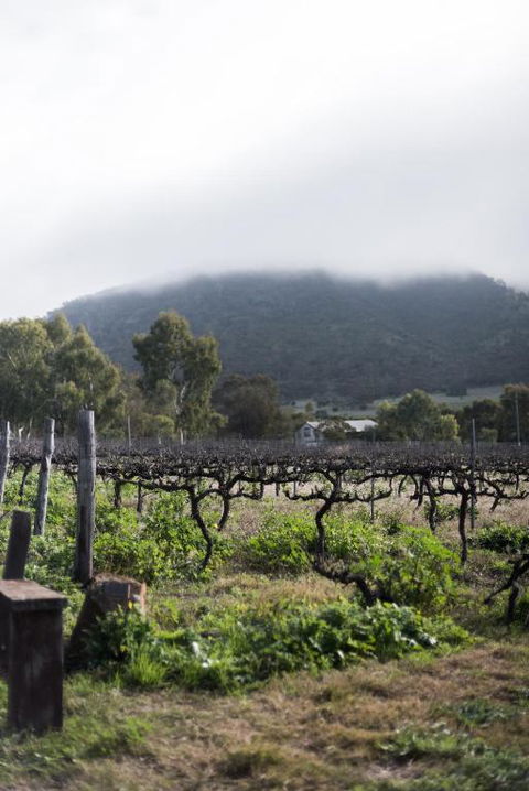 Hope Farm Guesthouse - Accommodation Mount Tamborine 2