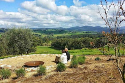 Vivere Retreat - Accommodation Mount Tamborine 0