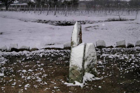 Taits Place Vineyard B & B - Accommodation Mount Tamborine 1