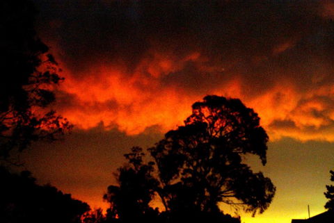 Taits Place Vineyard B & B - Accommodation Mount Tamborine 2