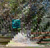 Blueberry Hills On Comleroy - Accommodation Mount Tamborine