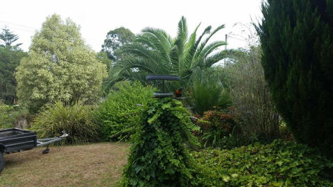 Cottage By The Bay - Accommodation Mount Tamborine 2