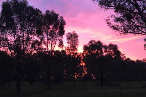 Rand Hotel - Accommodation Mount Tamborine 3