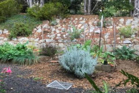 Alpine Aspects - Accommodation Mount Tamborine 6