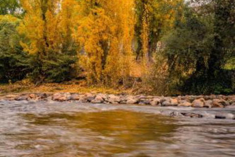 Alpine Aspects - Accommodation Mount Tamborine 5