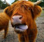 Nutcrackers Lodge - Accommodation Mount Tamborine