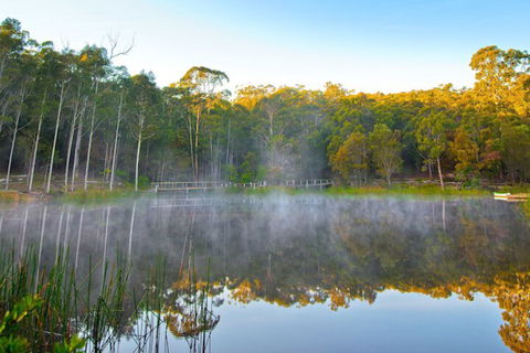 Kianinny Bush Cottages - Accommodation Mount Tamborine 5