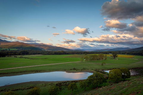 The Red Stag - Accommodation Mount Tamborine 2