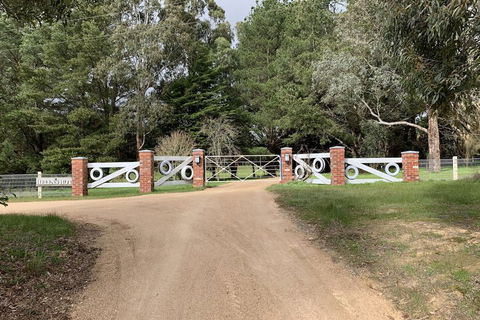 Helen's Homestead - Accommodation Mount Tamborine 7