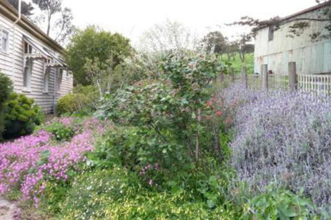 Alvie Cottage - Accommodation Mount Tamborine 1