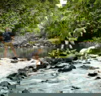 Sharlynn by the River - Accommodation Mount Tamborine