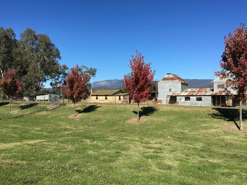 La Casa - Accommodation Mount Tamborine 6