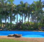 Fishery Falls Holiday Park - Accommodation Mount Tamborine