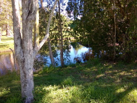 Eumundi Cottages Cottage 1 - Accommodation Mount Tamborine 4